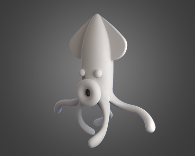 Squid